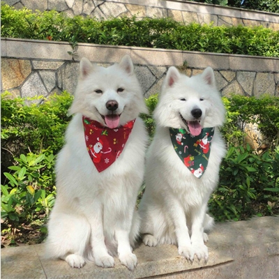 查看 Holiday Printing Dog Accessories Fun Products Christmas Pet Bandanas 详情